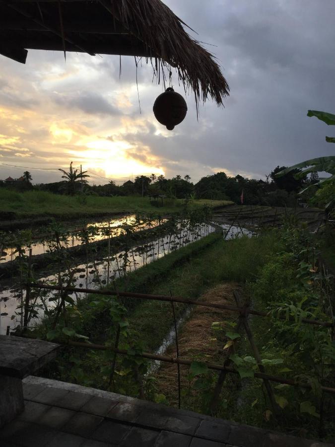 Cat Cow Yoga Villa Canggu  Bagian luar foto