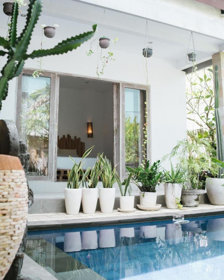 Cat Cow Yoga Villa Canggu  Bagian luar foto